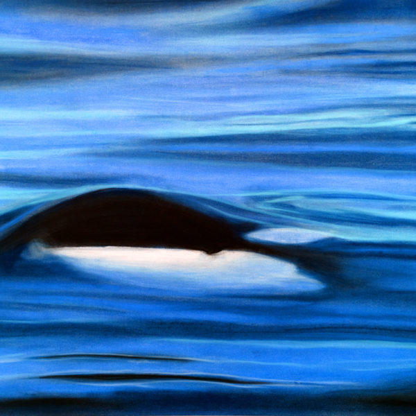 Orca Waters Print