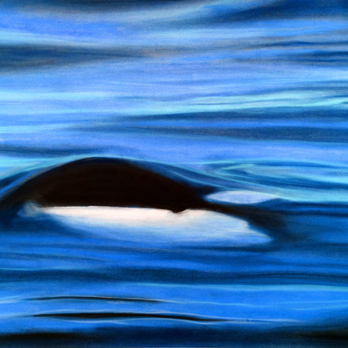 Orca Waters Print