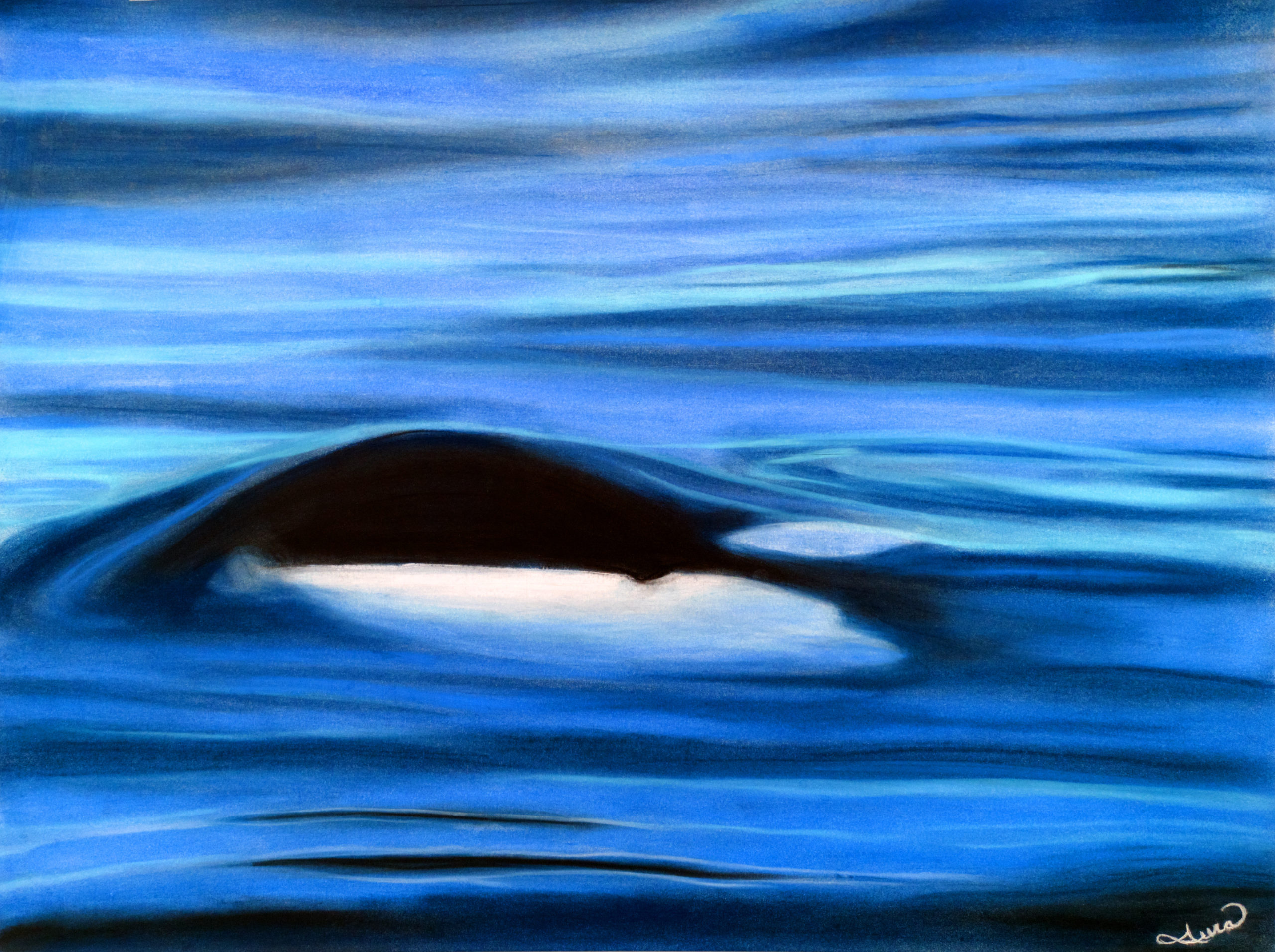 Orca Waters Print